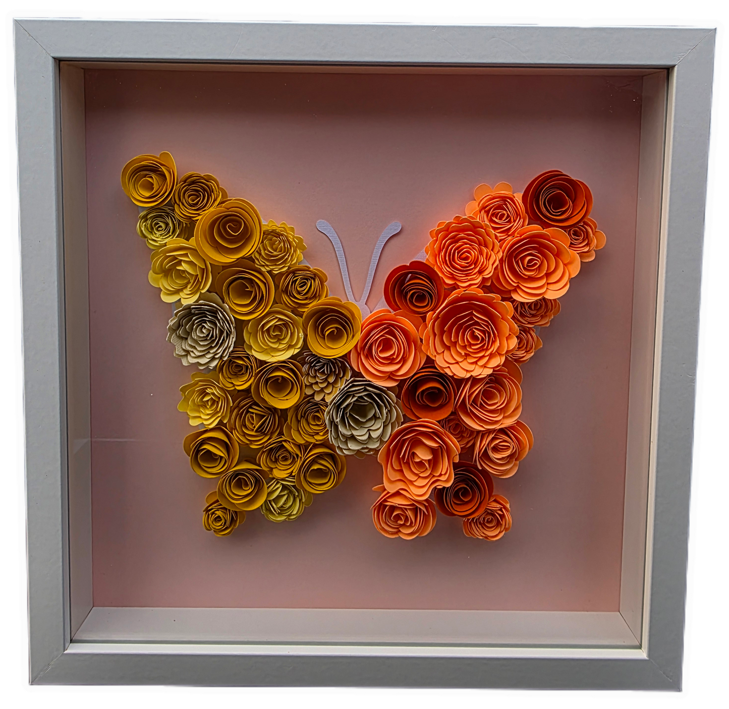 ๐ฆ Butterfly Bloom Shadow Box